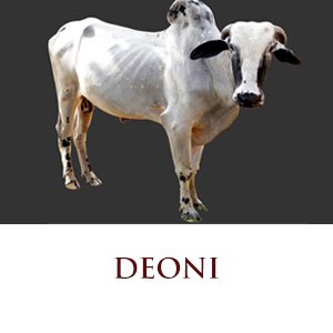 deoni