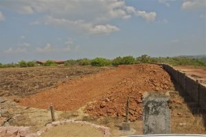 Grrass Land Transformation Project, Surabhivana