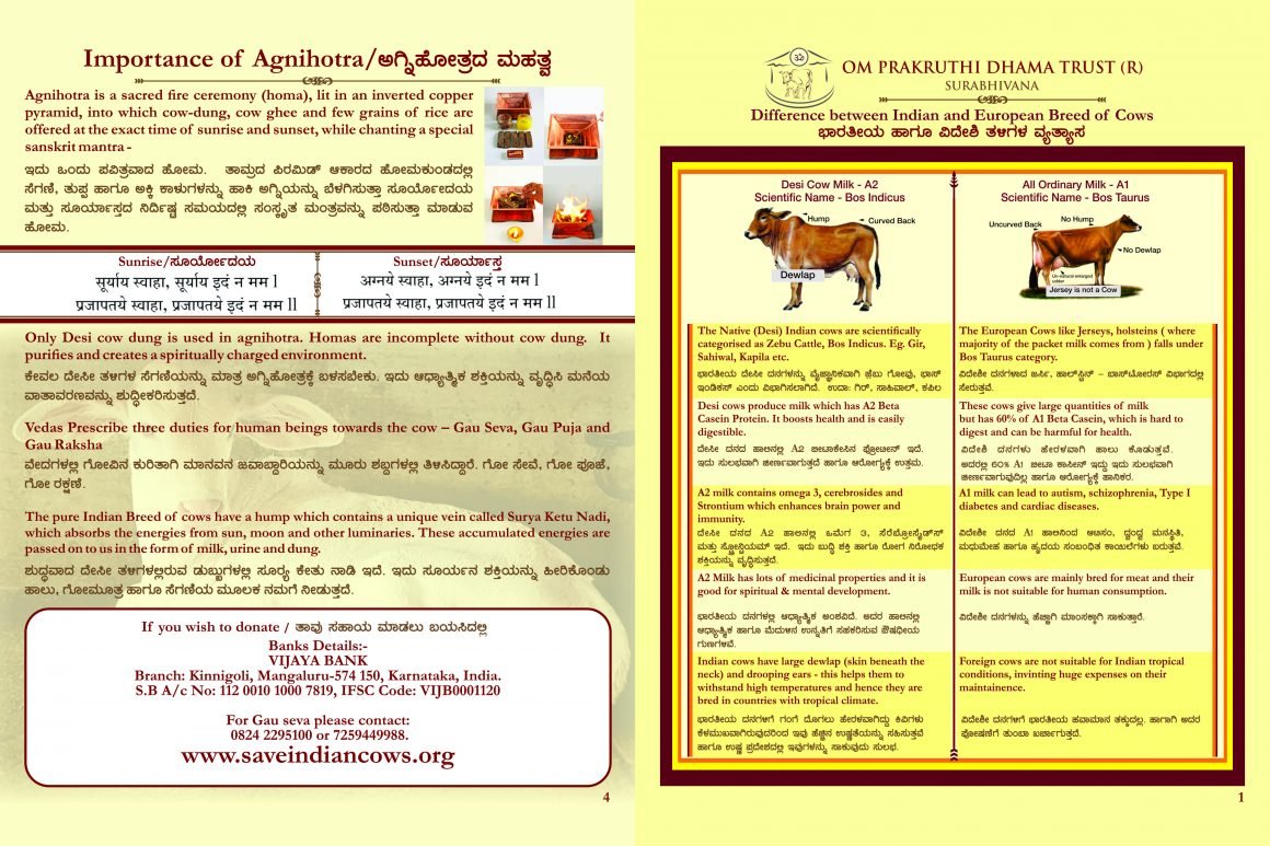 Cow Urine Treatment