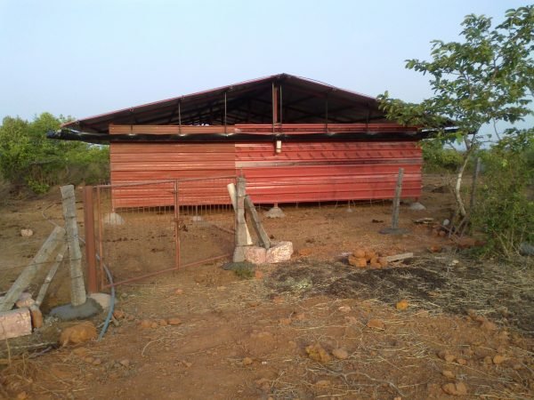 kapila cow shed